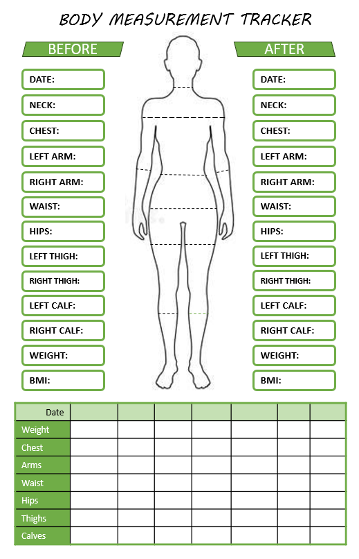 Body Size Chart Template 
